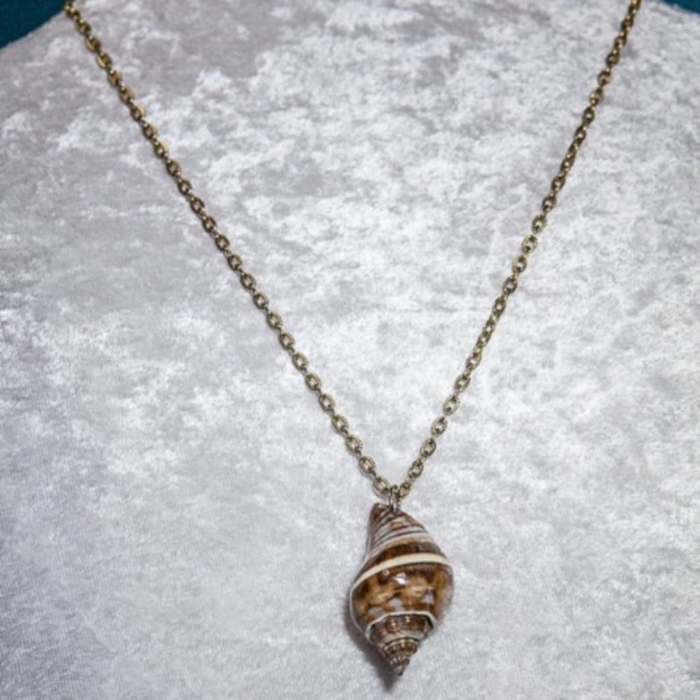 NATURAL Conch Shell Necklace with Chain Gold Tone